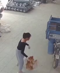 1.mp4