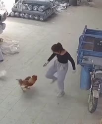 fight.mp4
