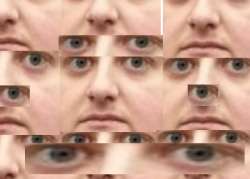 17454326856580.png