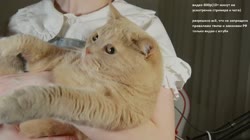 17515573471060.mp4