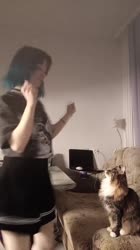 17508804457052.mp4