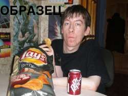 IMG1281.jpeg