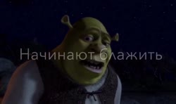 7449132927649.mp4