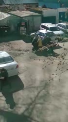16299339061540.mp4