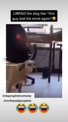 1750502493288.mp4