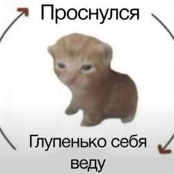 17519687245230.jpg