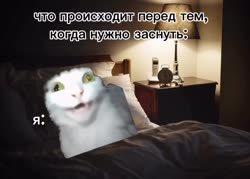 wEc84qpc.mp4