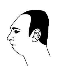 17516305829100.jpg