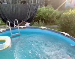 17517208244007.mp4