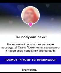 IMG8698.png