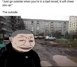 .jpg
