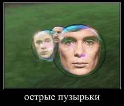 .jpg