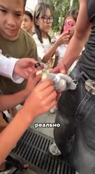 VID20250710165410845.mp4