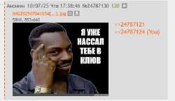 peddi.jpg