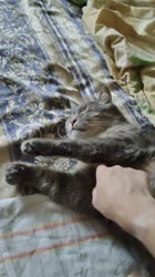 1752675406259.mp4