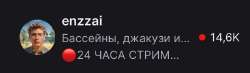 Профиль enzzai на Twitch.png