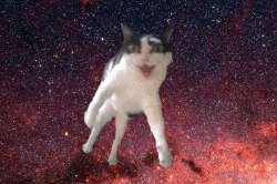 1752173726467.gif