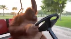 Вкат.mp4