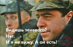 теневой.jpg