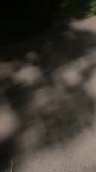 6806.mp4