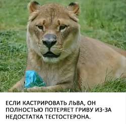 Screenshot20250714144251comzhiliaoappmusicallyMainActivityedit1130358591600835.jpg