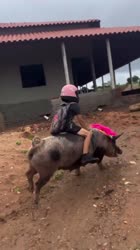 17485272154950.mp4