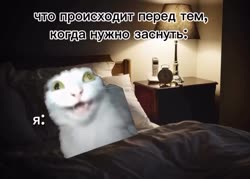 17521011602140.mp4