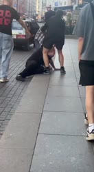 17521830516130.mp4