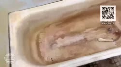 1752245260378.mp4