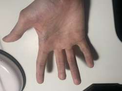 IMG8831.jpeg