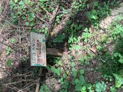IMG2152.jpeg
