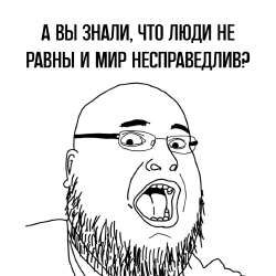IMG8775.png
