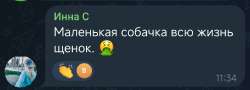 1752309940762.jpg