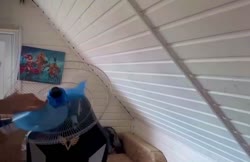 17523308695520.mp4