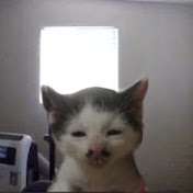 1752302435992.jpg