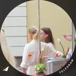 1752316297059.mp4