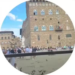 video (3).mp4