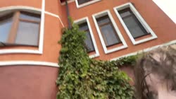 7465756 .webm