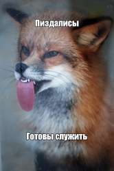 16fc635babfa1d1d9d642e005de45dda.jpg