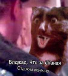 1718610498199.PNG