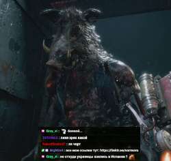 grayvi.jpg