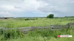 1.mp4