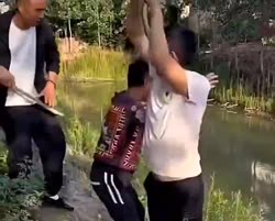 VID20250713112721642.mp4
