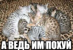Tsv09a6CX4OowScYSlMfUSahpFdbF0sJzhCEY1G37UTVA4VsThkWhfPZo-YZVnePomt7RtjssjjZF1m9PxT9A.jpg