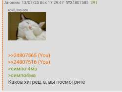 17524170554960.jpg
