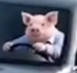 1594984276023.png