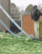 1752409242446.gif