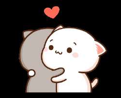 모찌냥.gif
