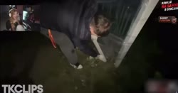 -1549201887602421887.mp4