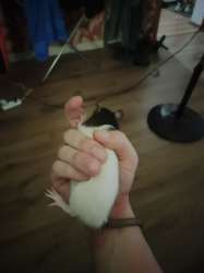 IMG20250713220317353.jpg